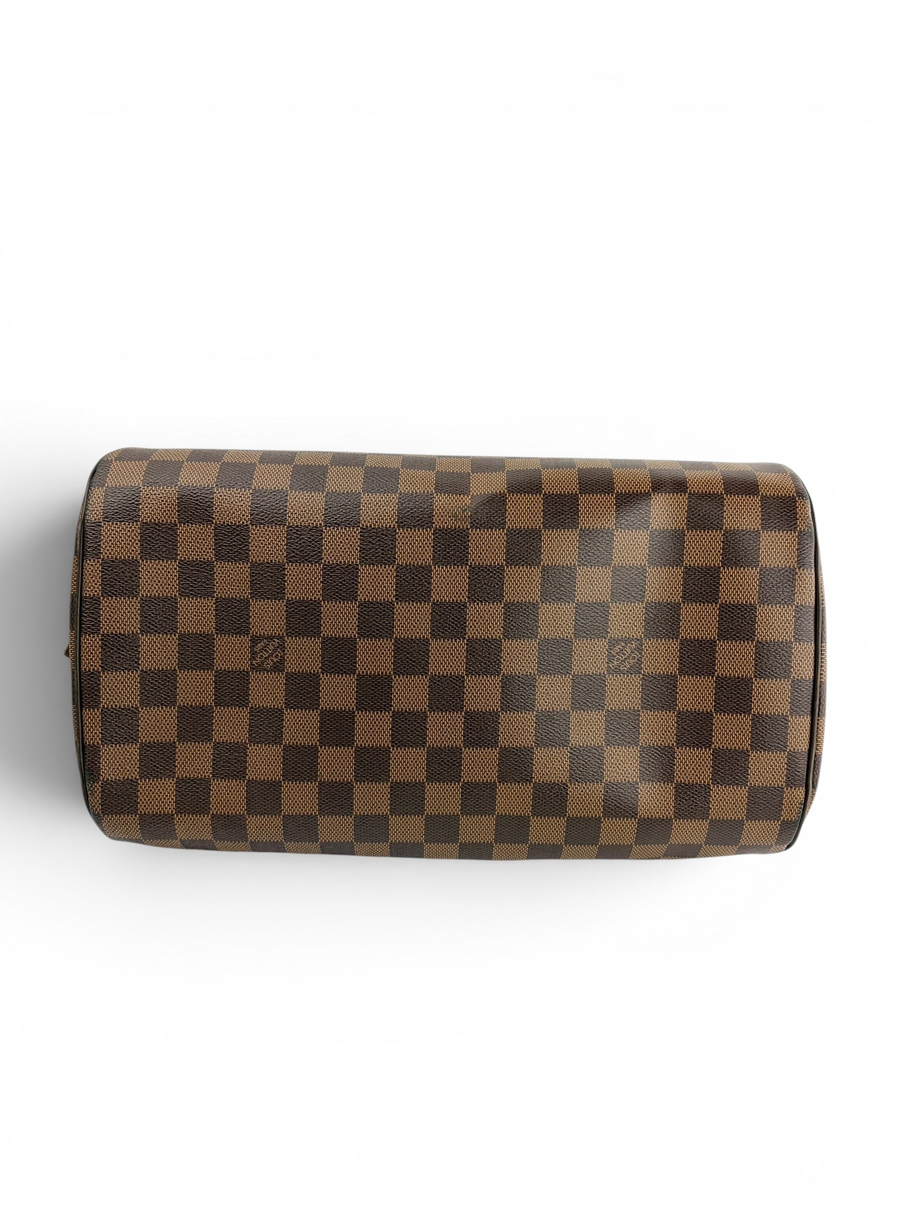 louis-vuitton-damier-ebene-ribera--6