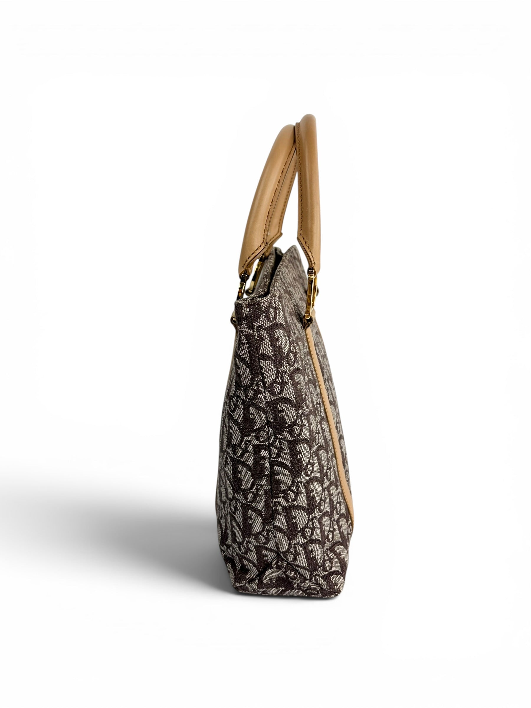 christian-dior-brown-canvas-trotter-top-handle-3