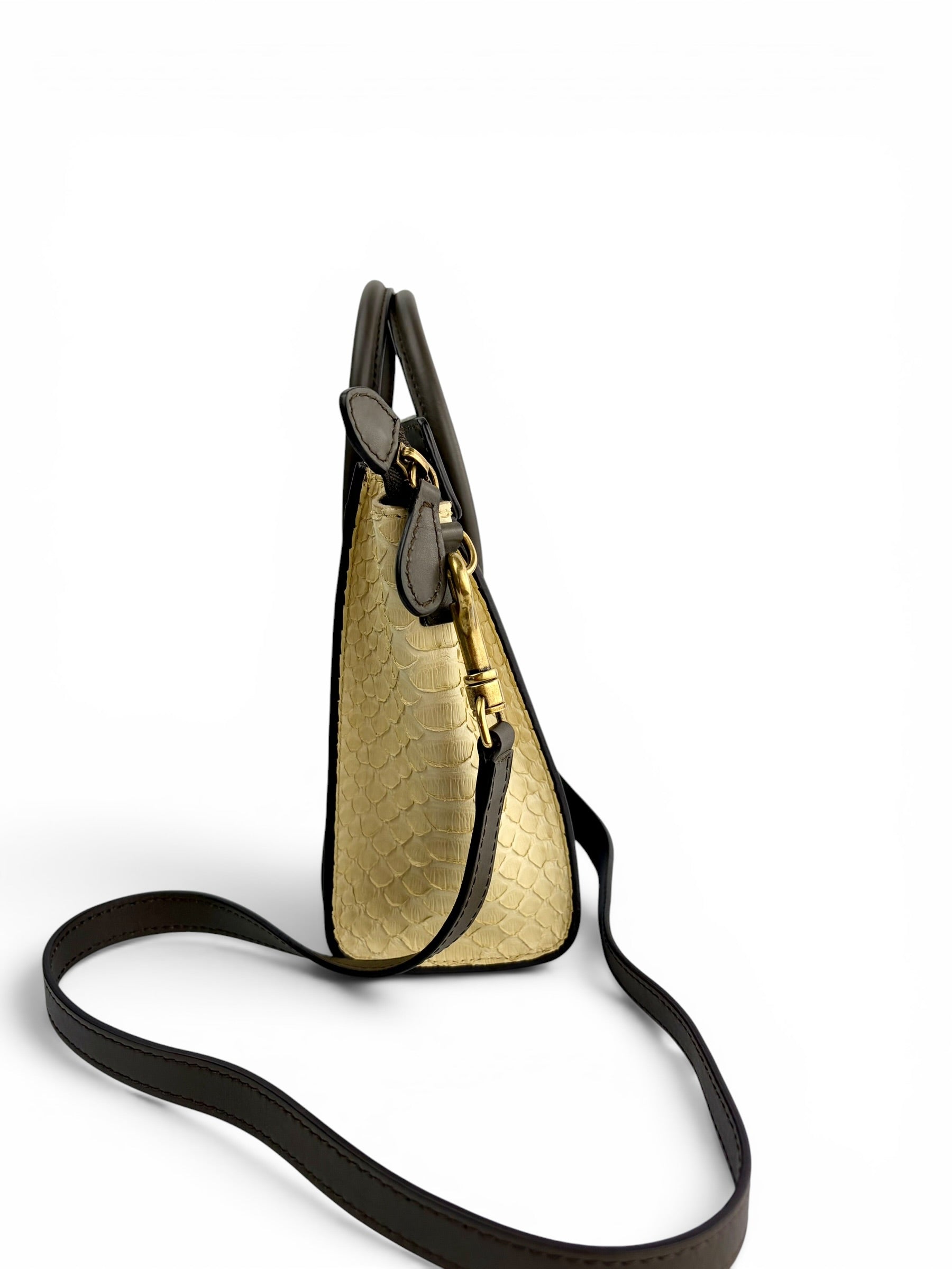 celine-nano-tricolor-python---leather-luggage-tote-2