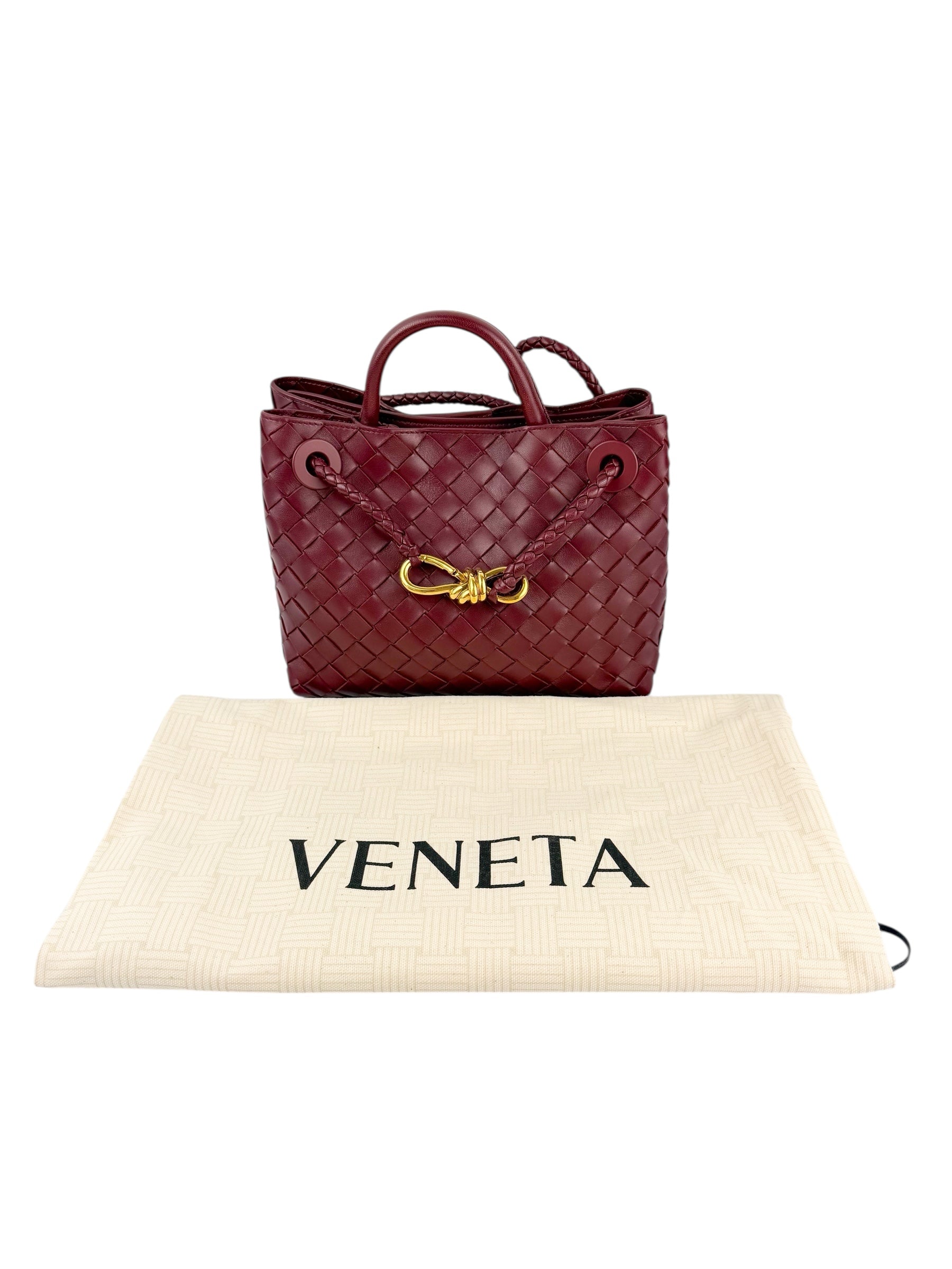 bottega-veneta-nappa-intrecciato-small-andiamo-shoulder-bag--13
