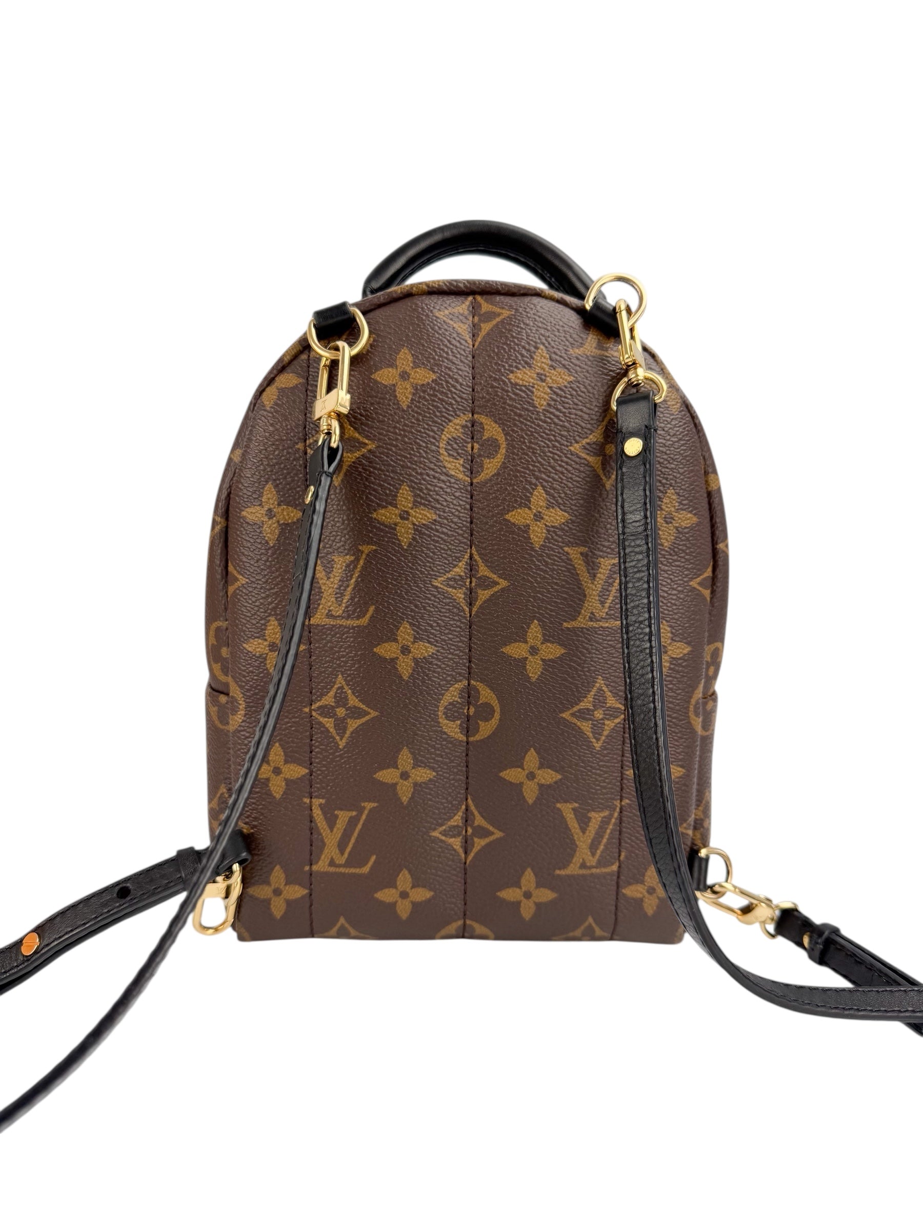 Louis Vuitton Monogram Palm Springs Mini (Full Set)
