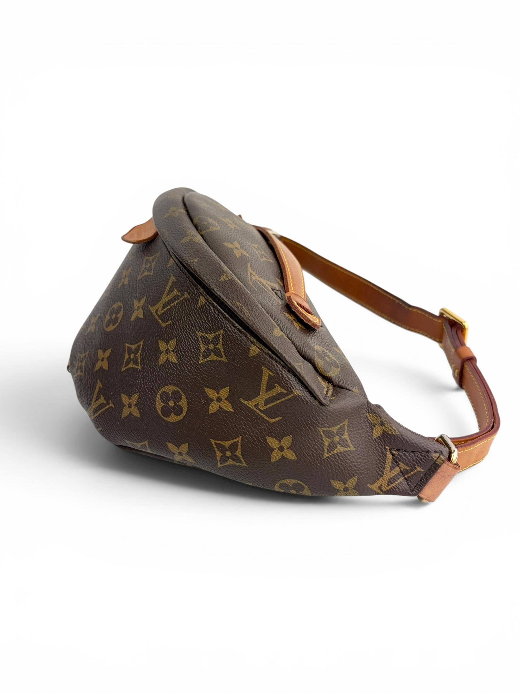 louis-vuitton-monogram-canvas-bum-bag-4