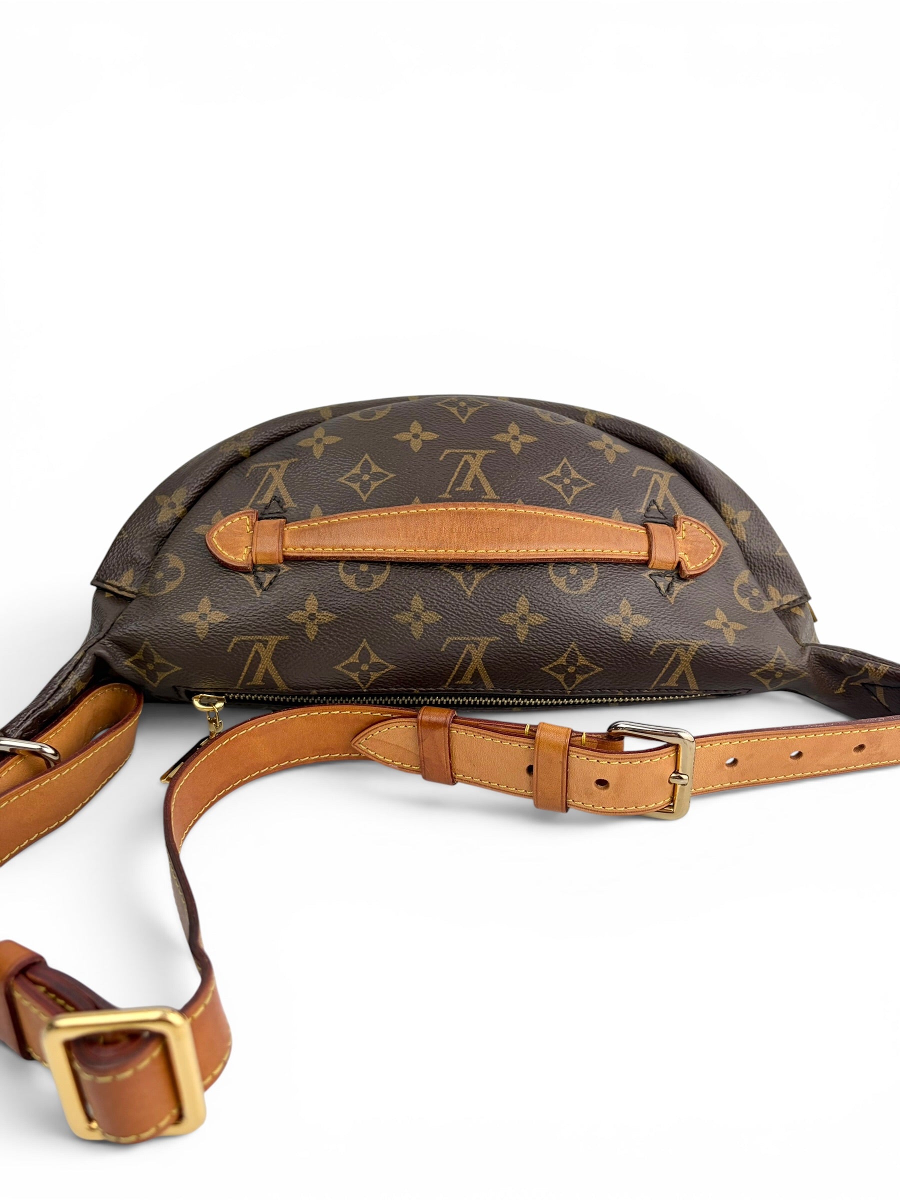 louis-vuitton-monogram-canvas-bum-bag-2