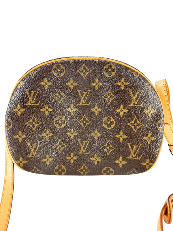 Louis Vuitton Monogram Coated Canvas Blois Bag