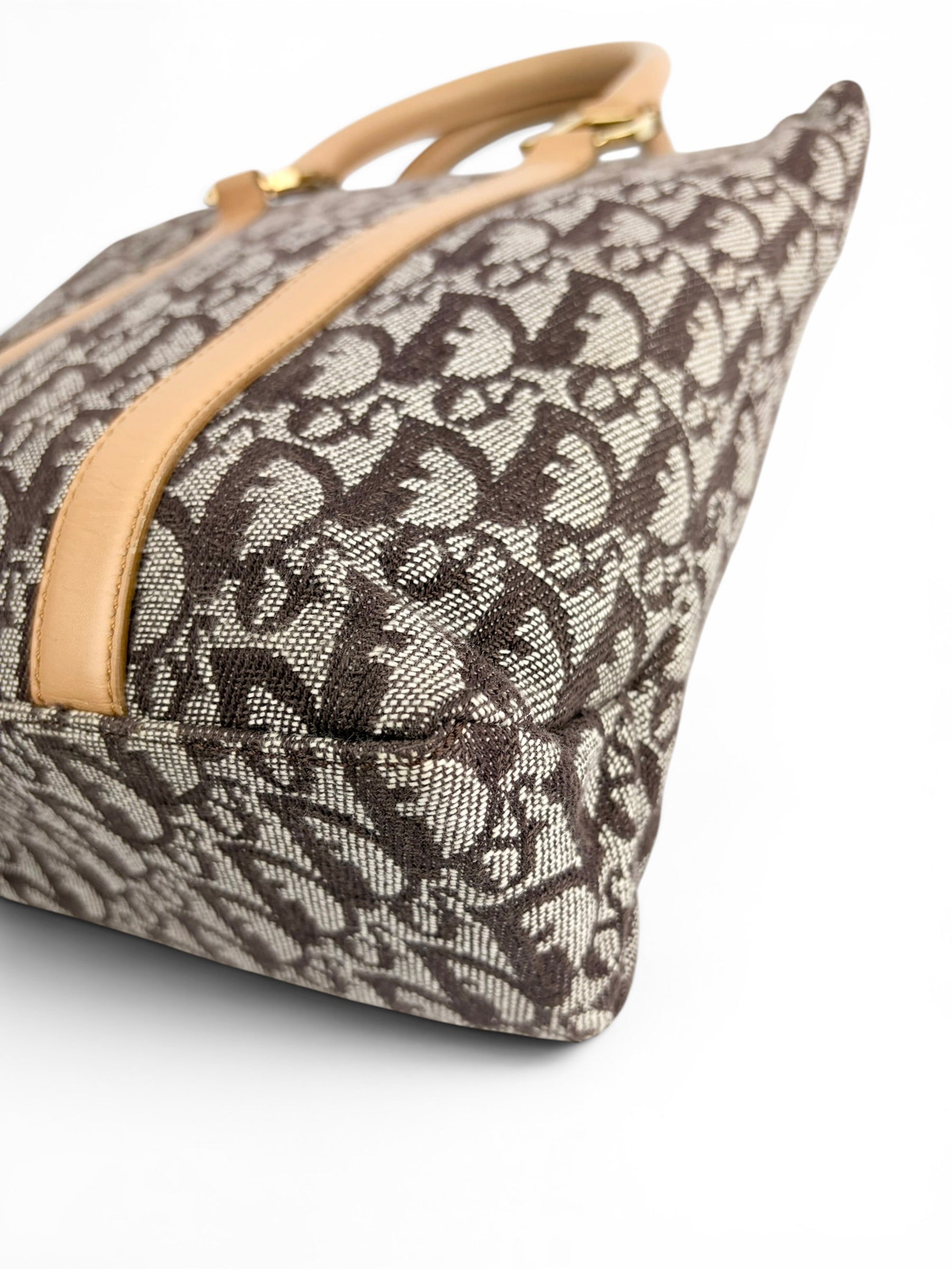 christian-dior-brown-canvas-trotter-top-handle-5