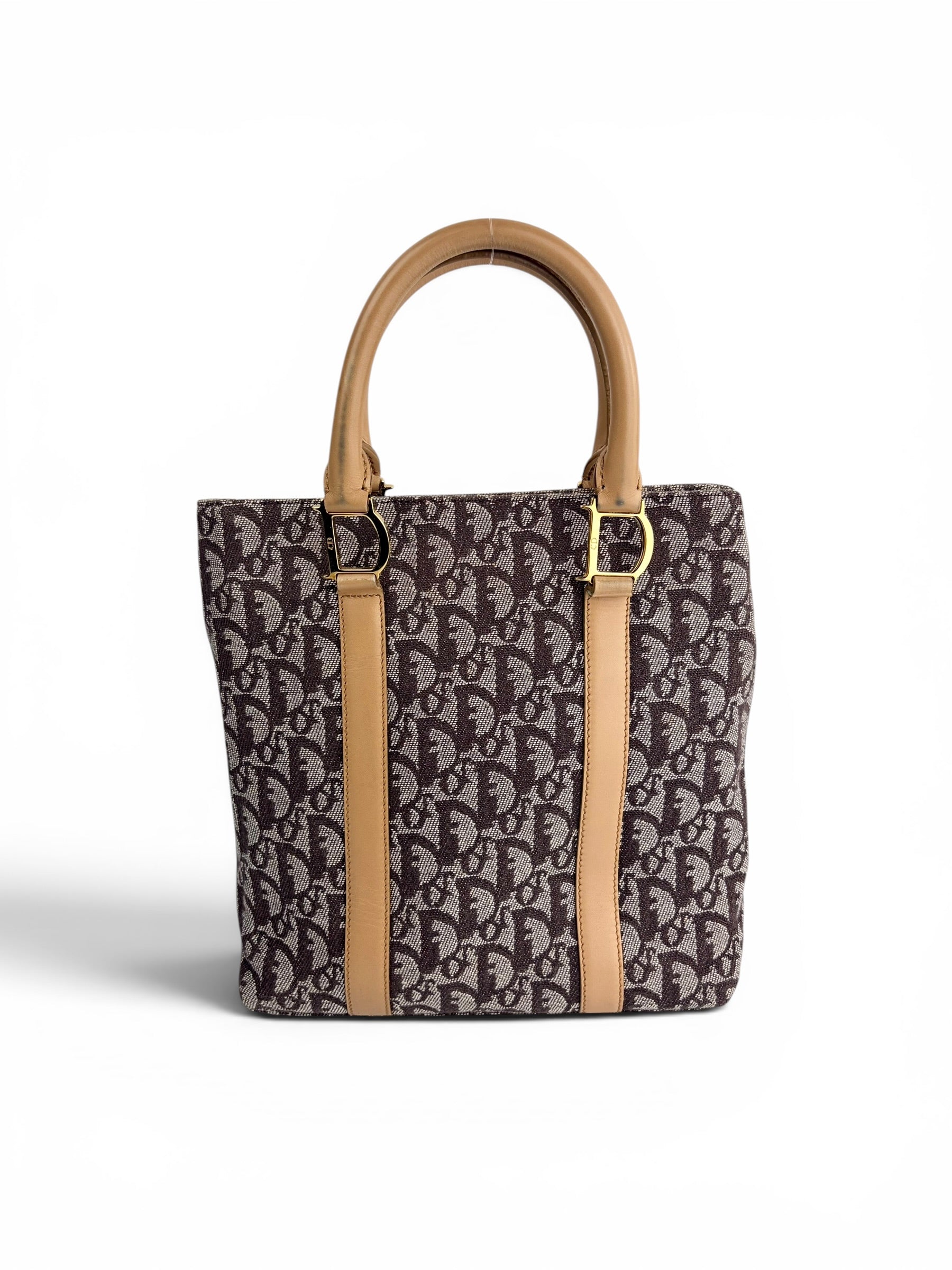 christian-dior-brown-canvas-trotter-top-handle-1