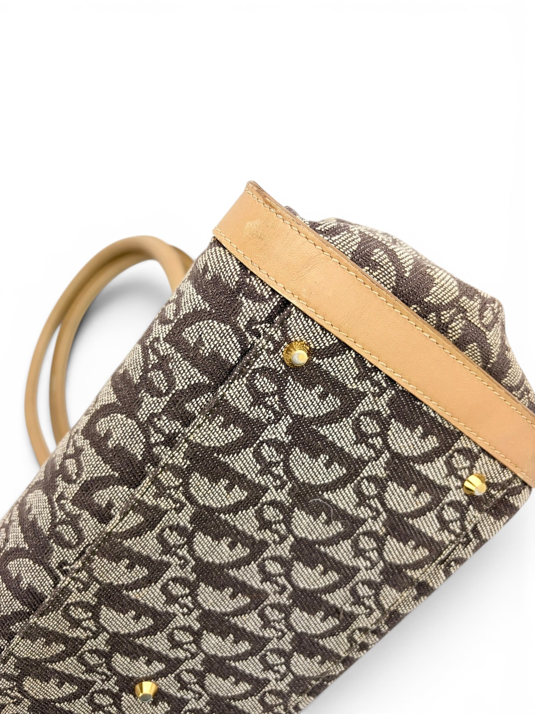 christian-dior-vintage-trotter-canvas-diorissimo-top-handle-8