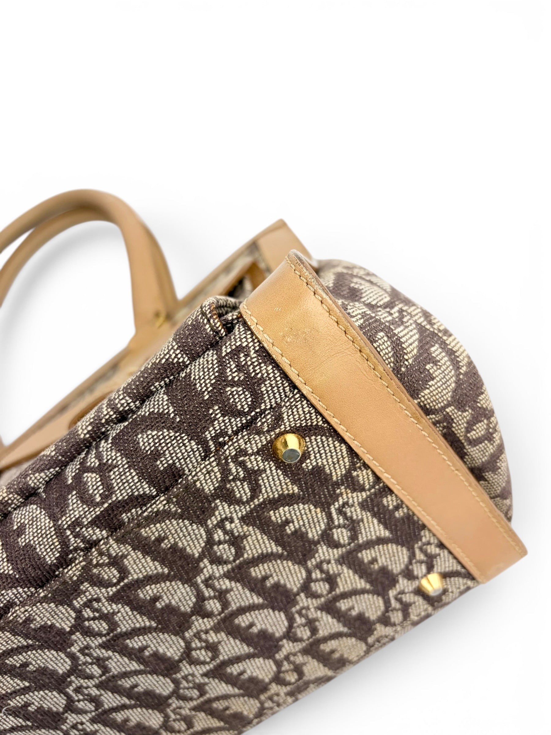 christian-dior-vintage-trotter-canvas-diorissimo-top-handle-6