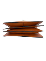 Chloe Snakeskin Colorblock Faye Crossbody Medium