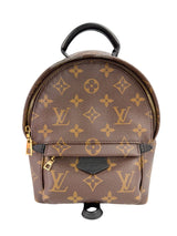 Louis Vuitton Monogram Palm Springs Mini (Full Set)