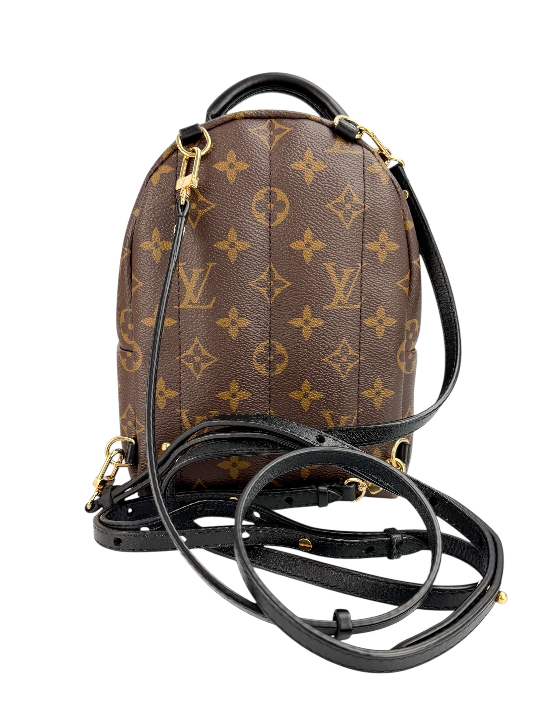 Louis Vuitton Monogram Palm Springs Mini (Full Set)