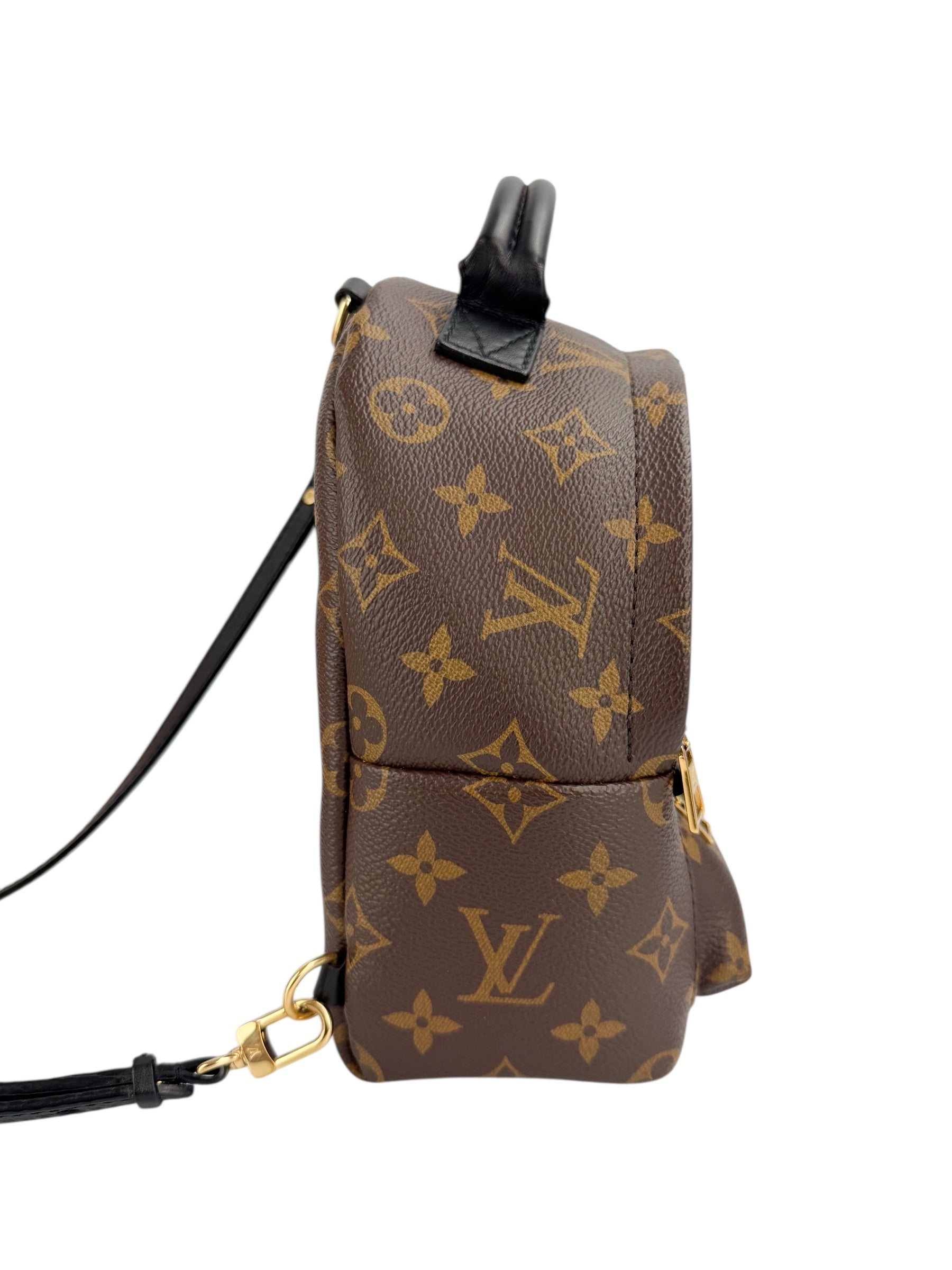 Louis Vuitton Monogram Palm Springs Mini (Full Set)