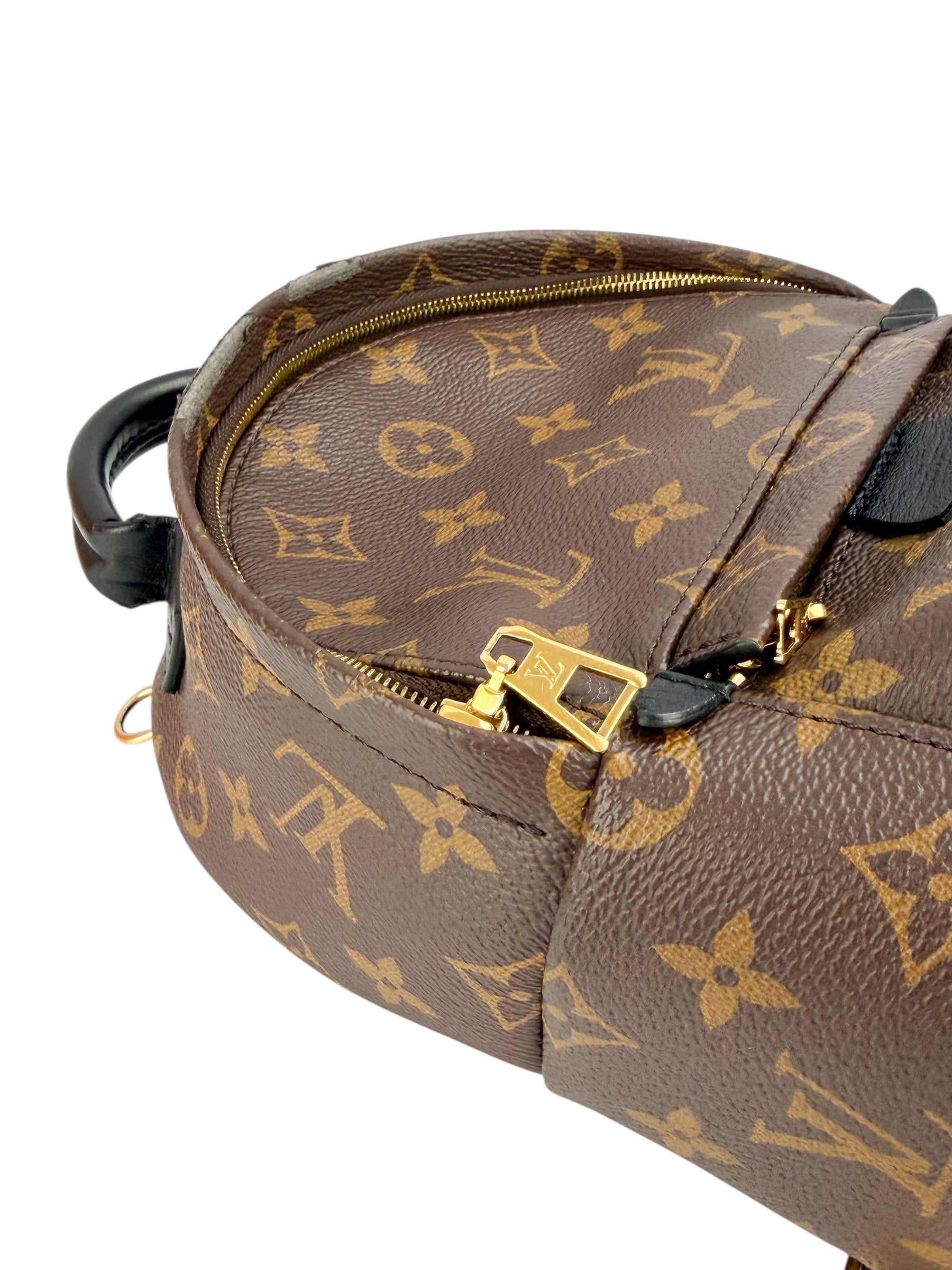 Louis Vuitton Monogram Palm Springs Mini (Full Set)