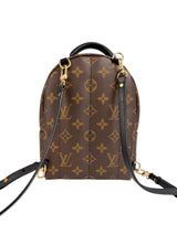Louis Vuitton Monogram Palm Springs Mini (Full Set)