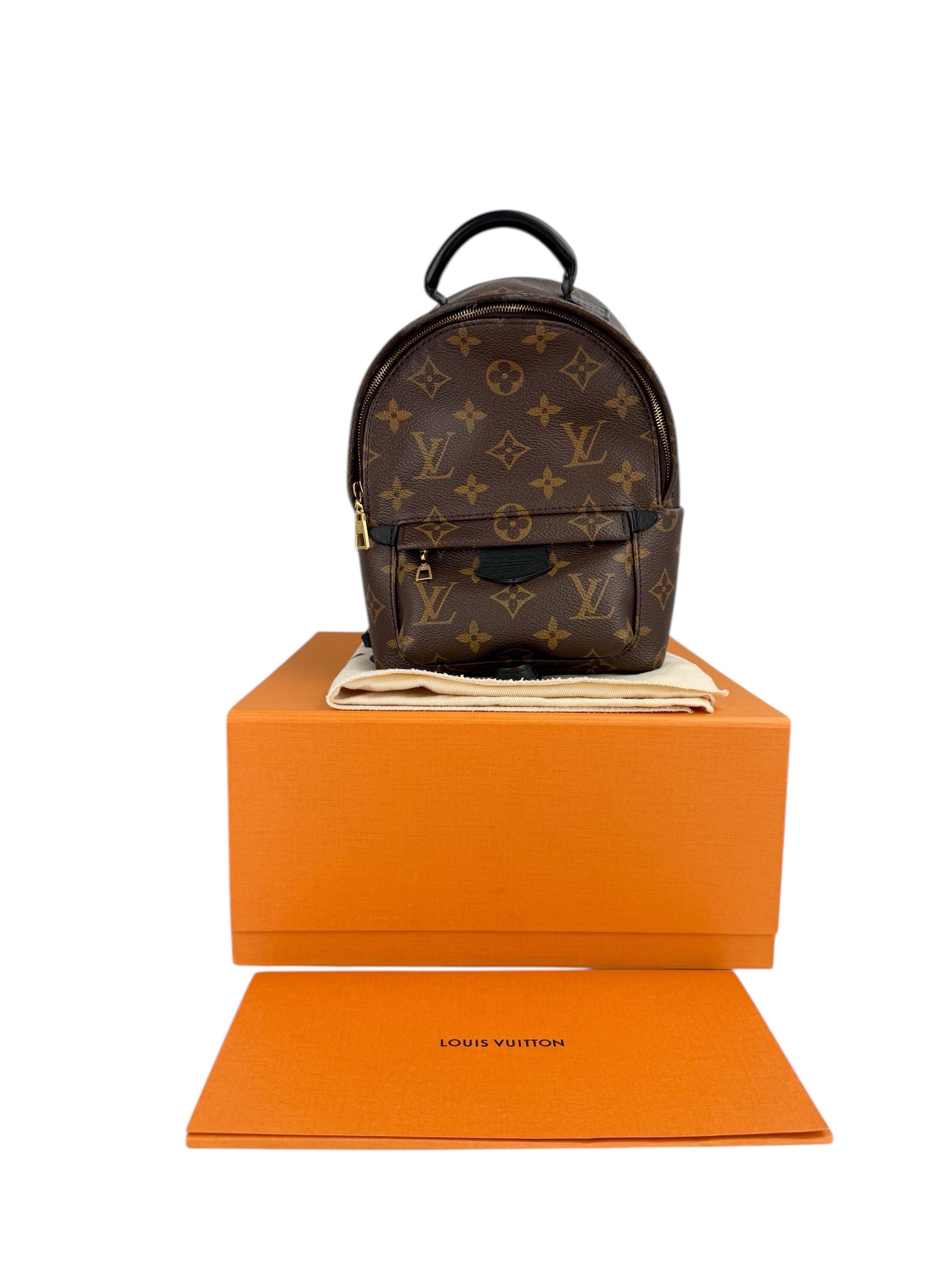 Louis Vuitton Monogram Palm Springs Mini (Full Set)