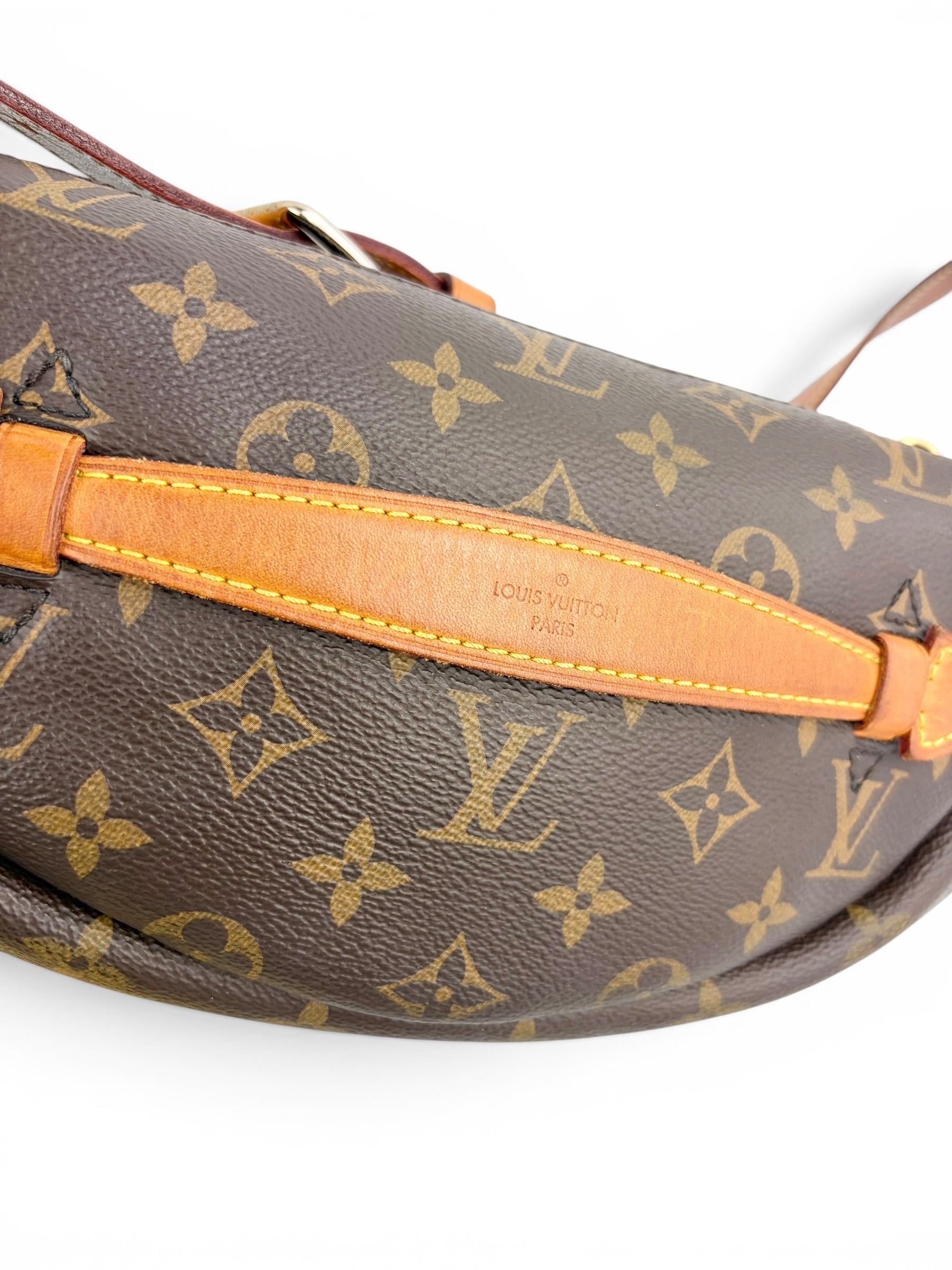 louis-vuitton-monogram-canvas-bum-bag-8