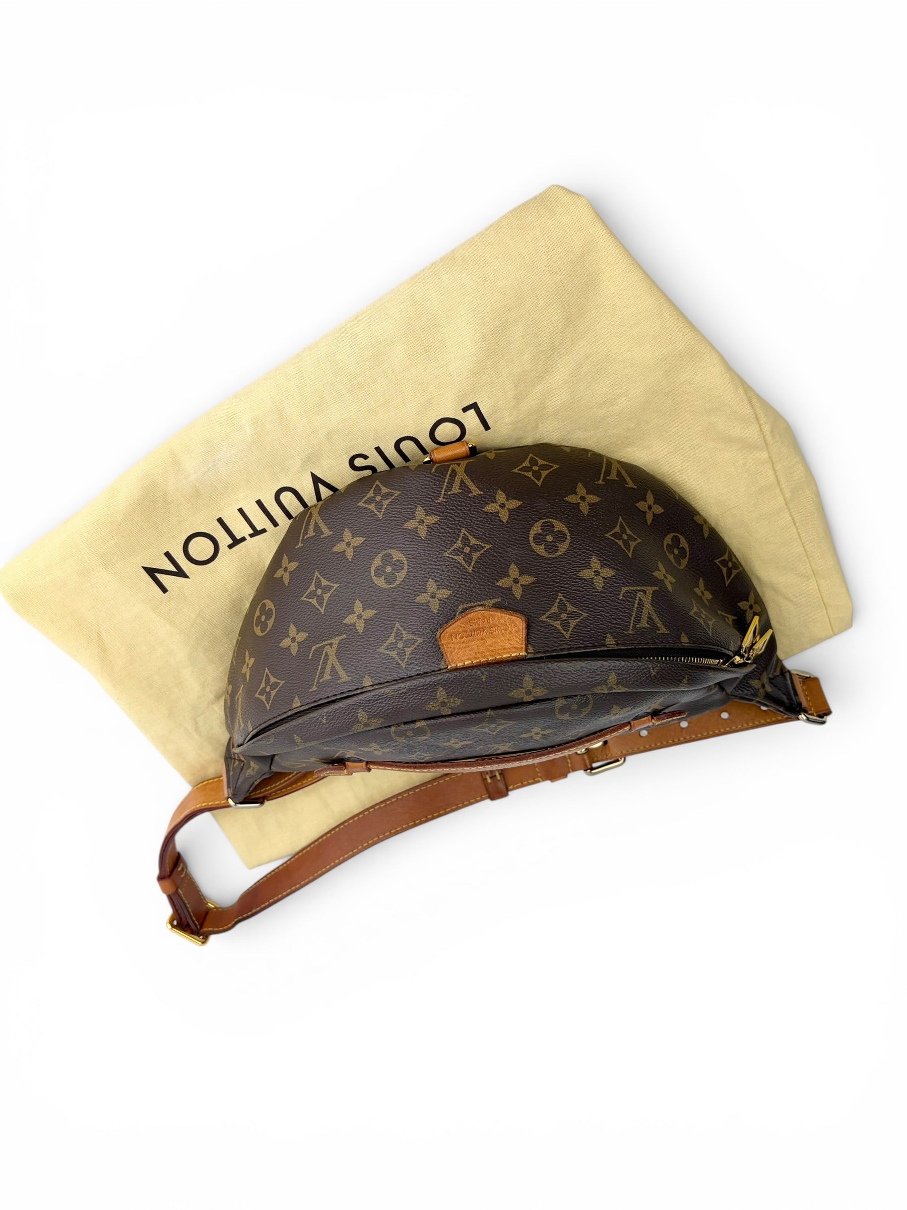 louis-vuitton-monogram-canvas-bum-bag-11