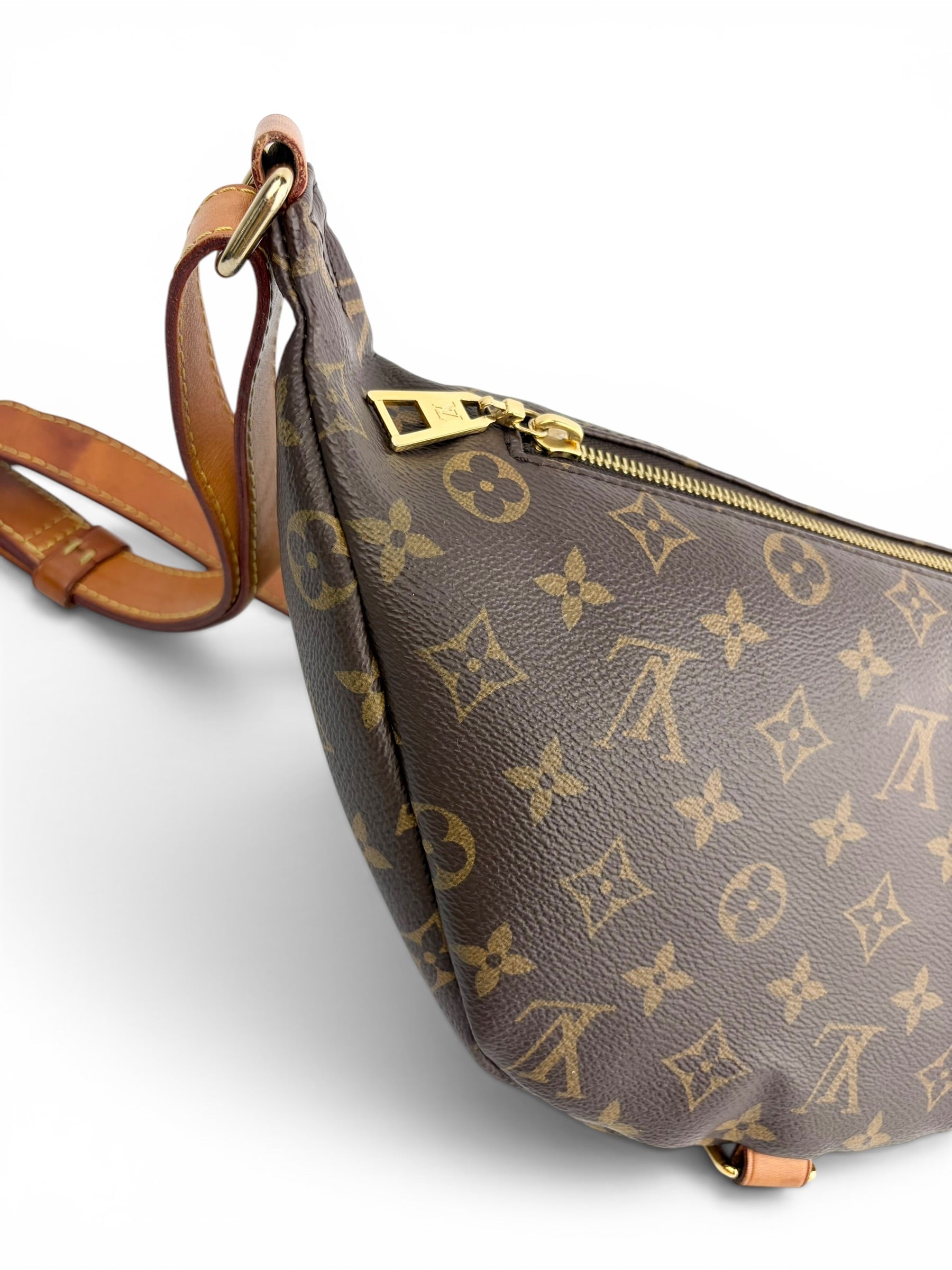 louis-vuitton-monogram-canvas-bum-bag-5