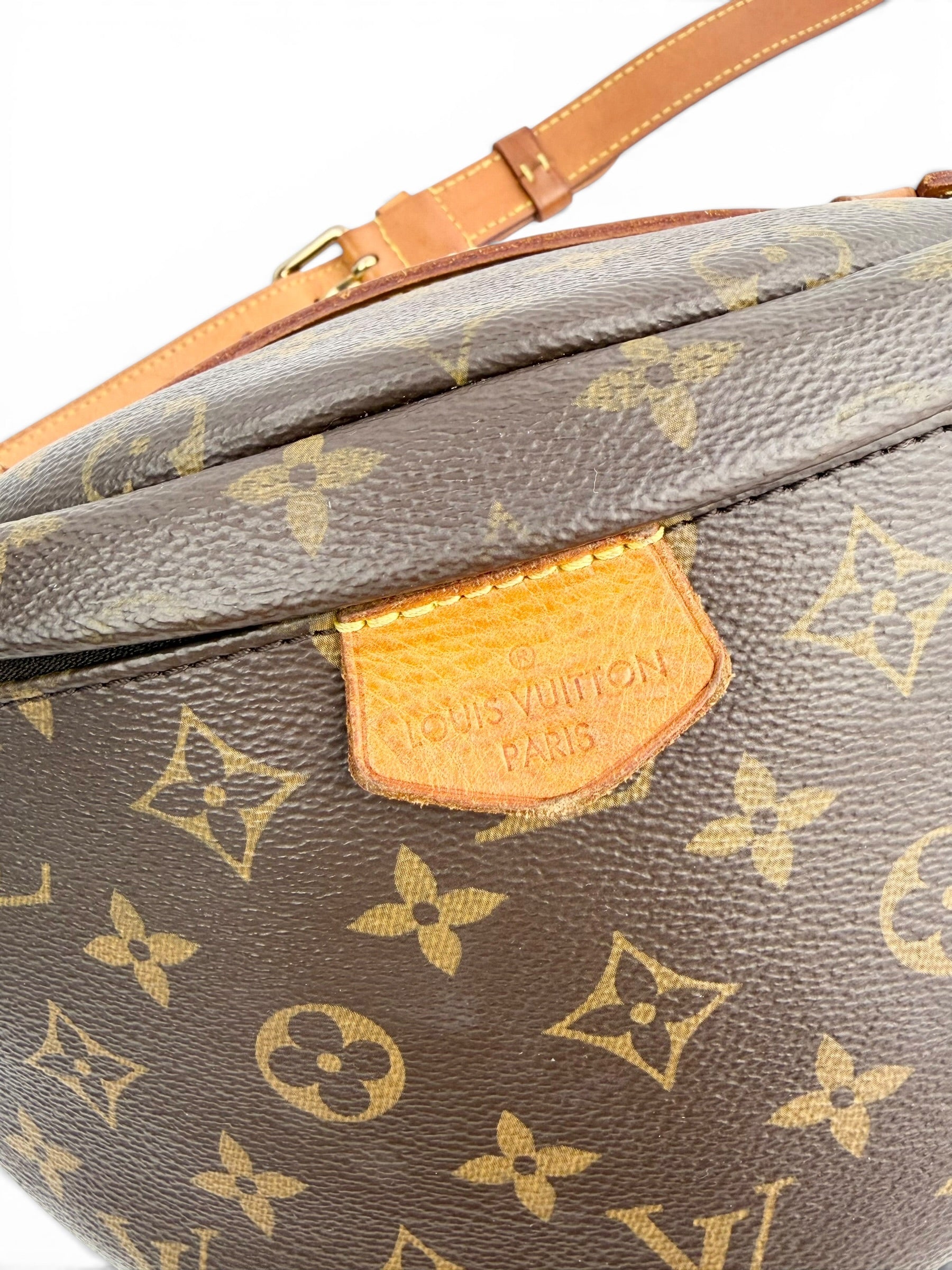 louis-vuitton-monogram-canvas-bum-bag-7
