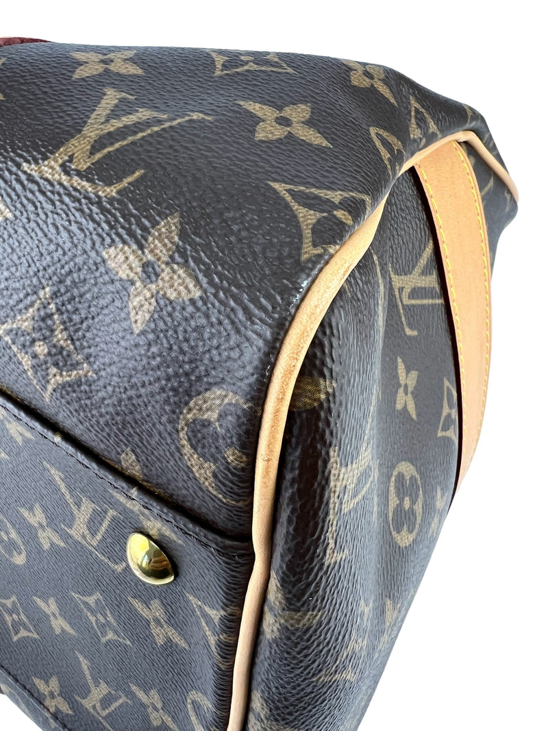 Louis Vuitton Monogram Canvas Carryall