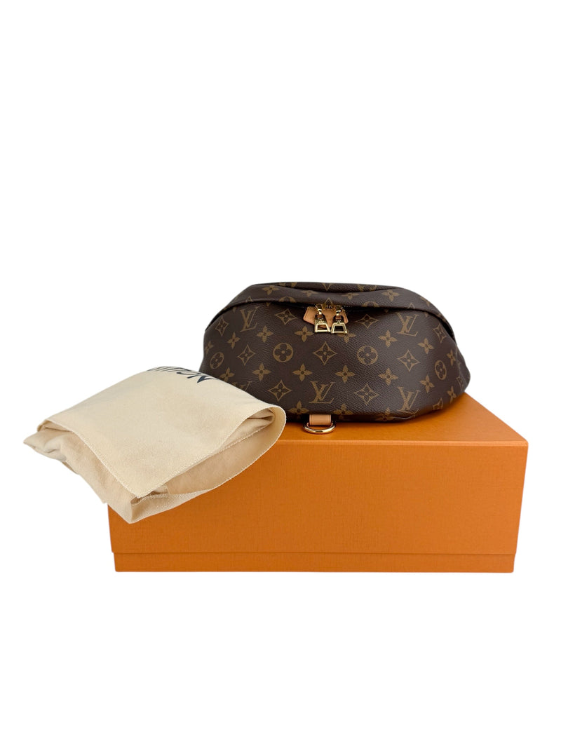 Louis Vuitton Monogram Bum Bag (FULL SET)