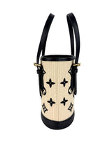 Louis Vuitton Black Raffia Nano Bucket Bag