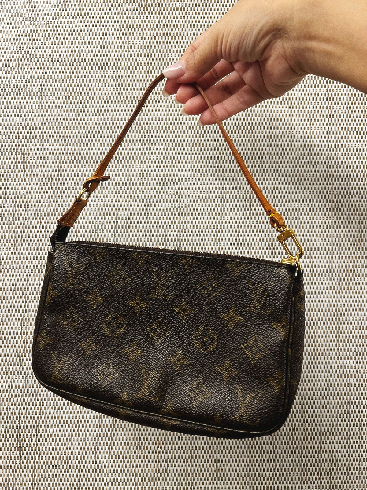 Louis Vuitton Monogram Pochette Accessories